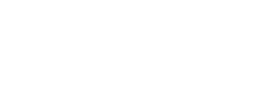 ALM Consultoria